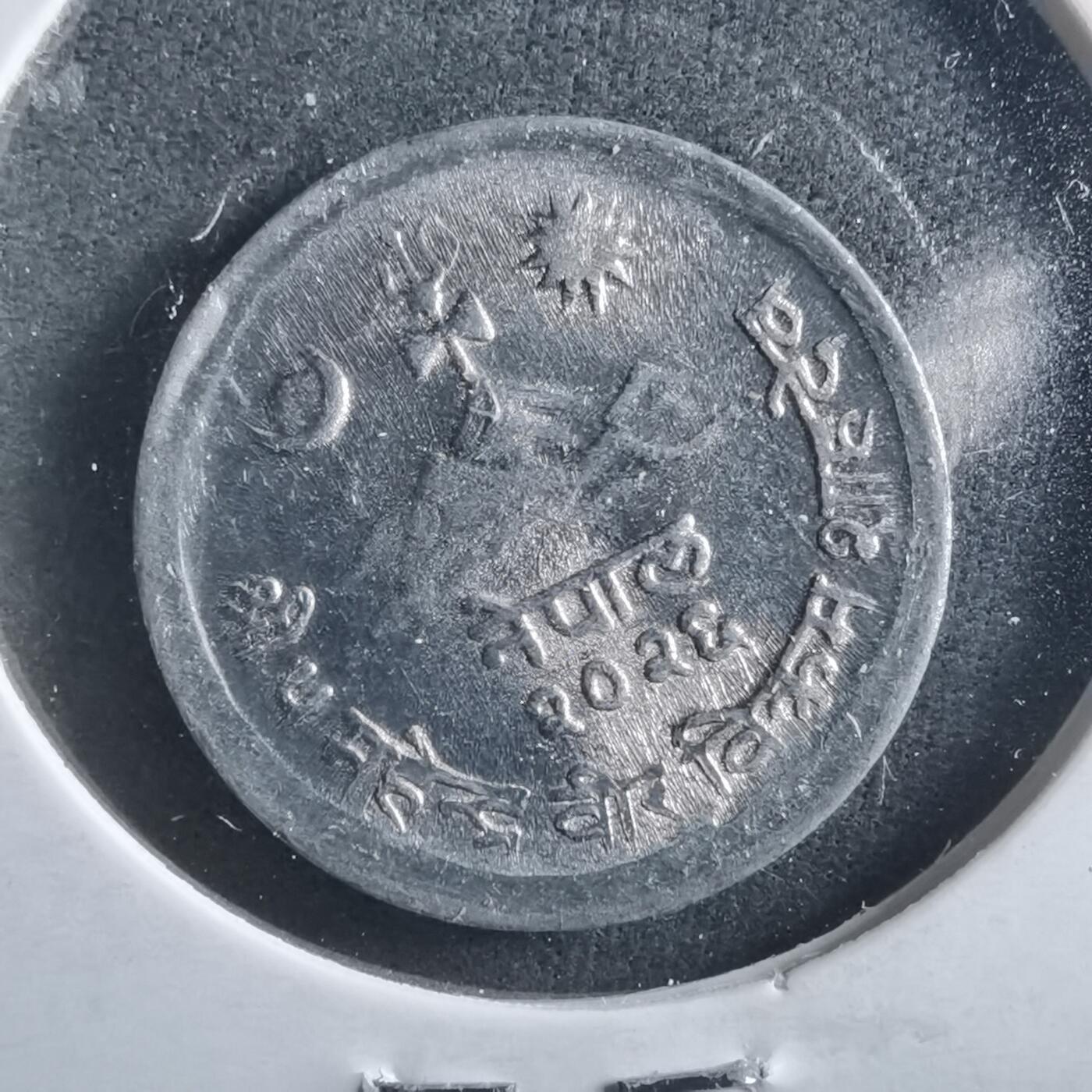 沼泽如烟--第906场