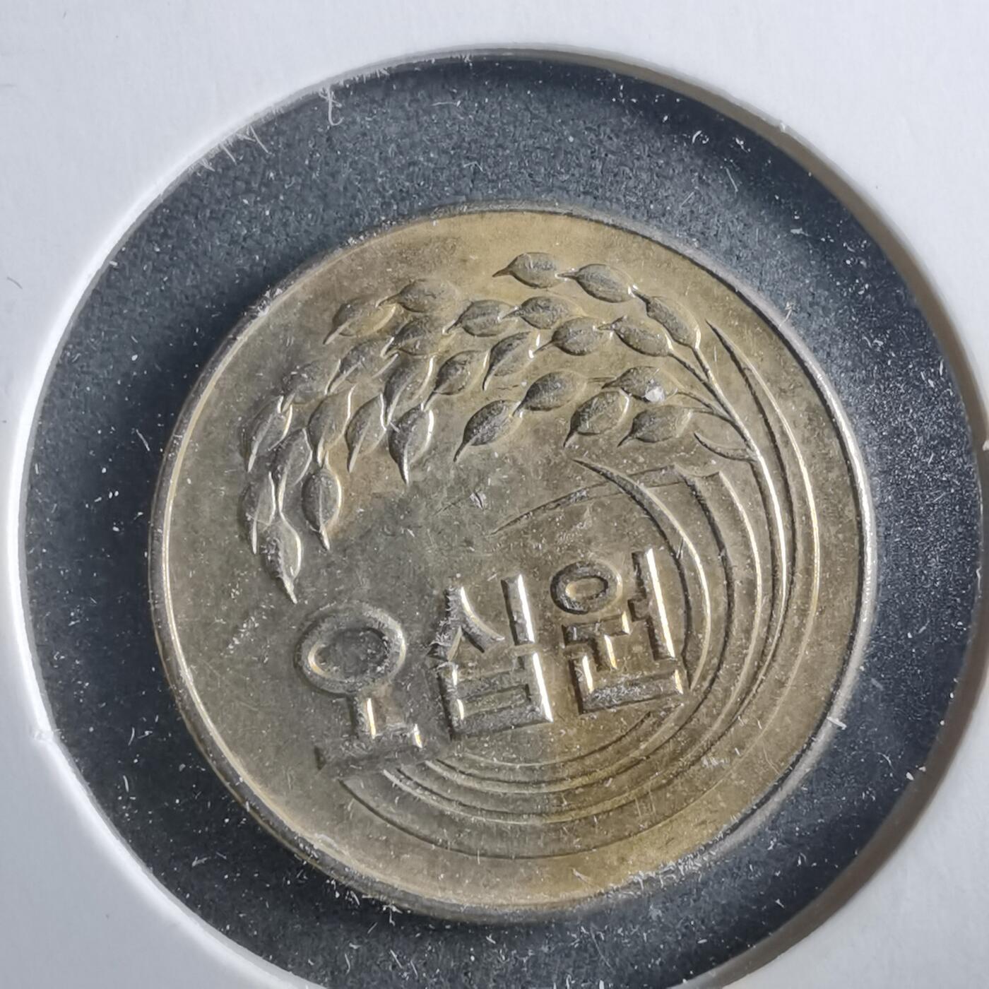 沼泽如烟--第906场