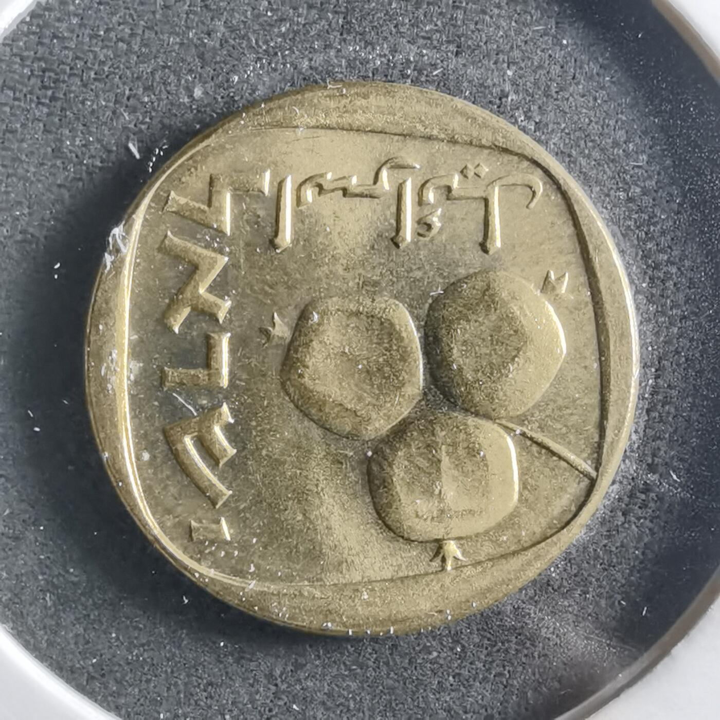 沼泽如烟--第906场 以色列