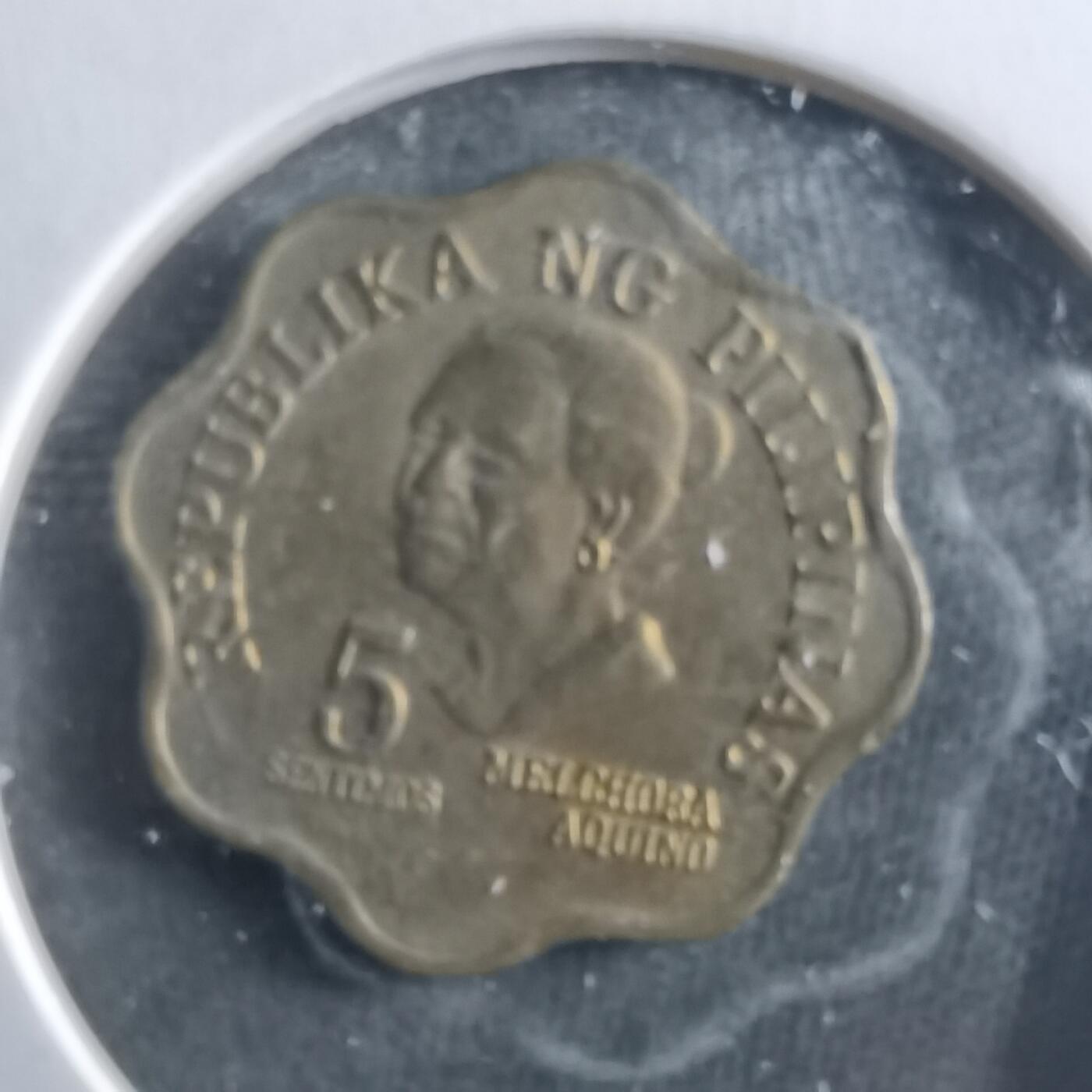 沼泽如烟--第906场