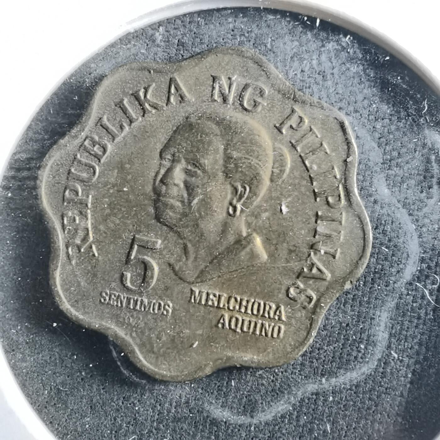 沼泽如烟--第906场