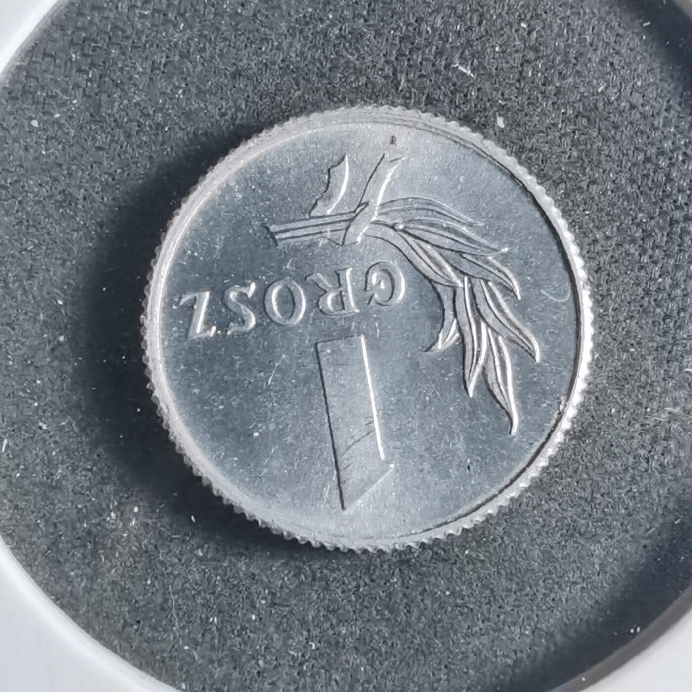 沼泽如烟--第906场 波兰1949年1格罗申