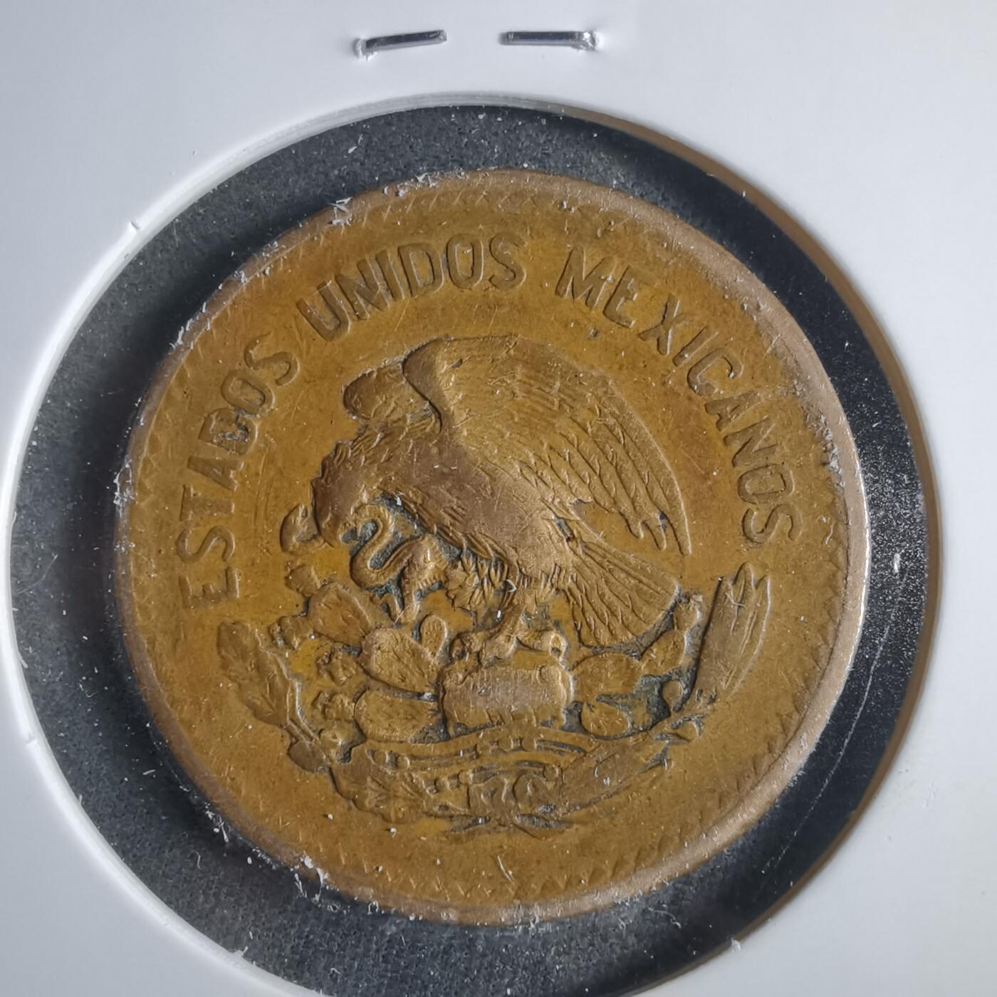 沼泽如烟--第906场