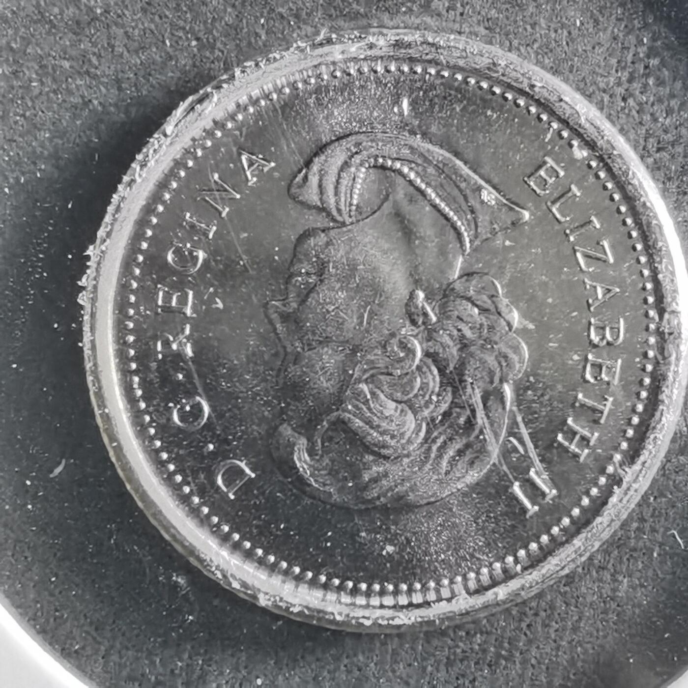 沼泽如烟--第906场 加拿大2006年十分