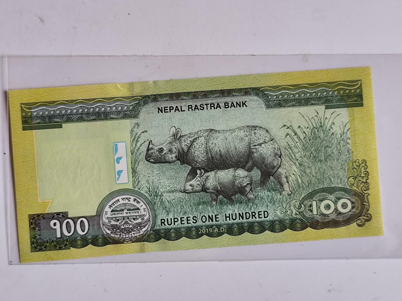 11月16日奖章钱币专场 尼泊尔100卢比纸币 超级小号