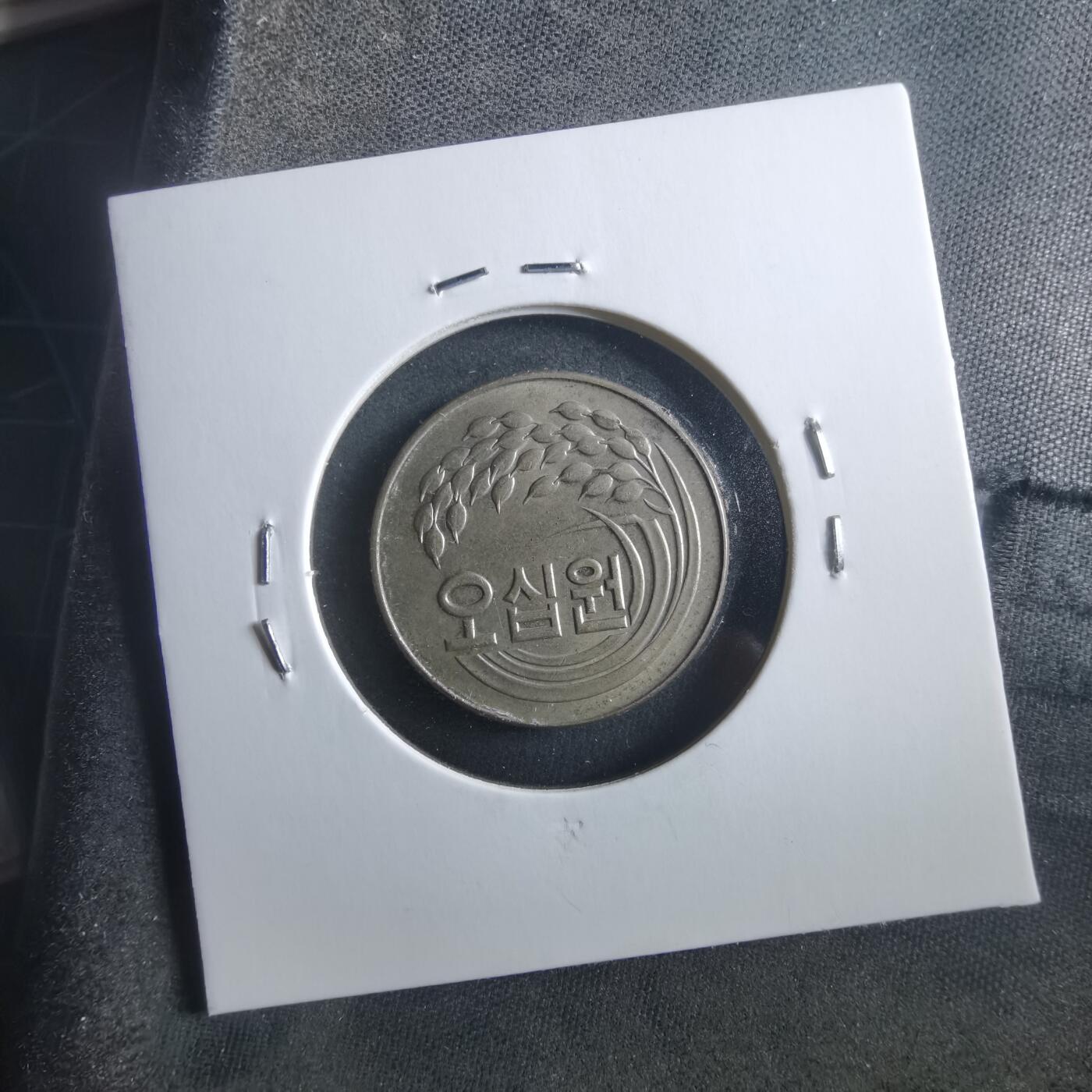 沼泽如烟--第906场