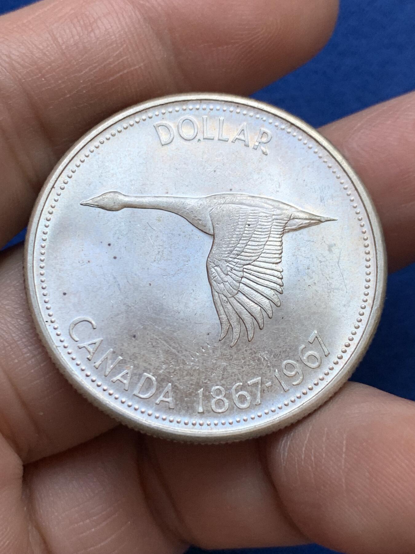 《竞宝斋》第439场 周日，周一，周二 3场连拍 （全场包邮） 加拿大1967年建国100周年大雁银币 强转光 品相很好，女王面淡紫彩