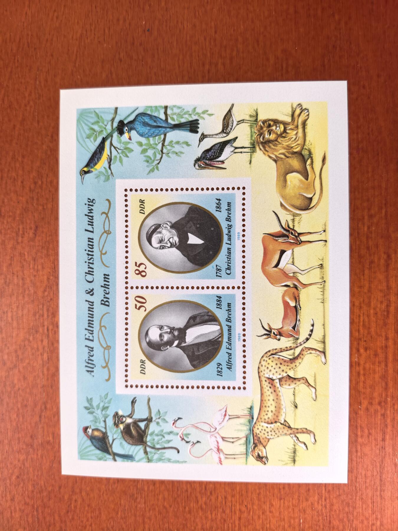 长老汇蛇年精选第七十四场拍卖 1989东德布雷姆兄弟小型张，全新