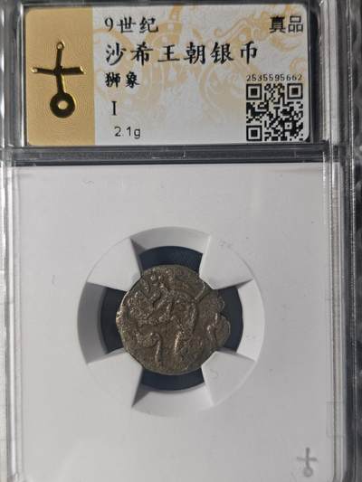 86期回流戒指饰品杂件纪念章丝路钱币专场 - 沙希王朝银币