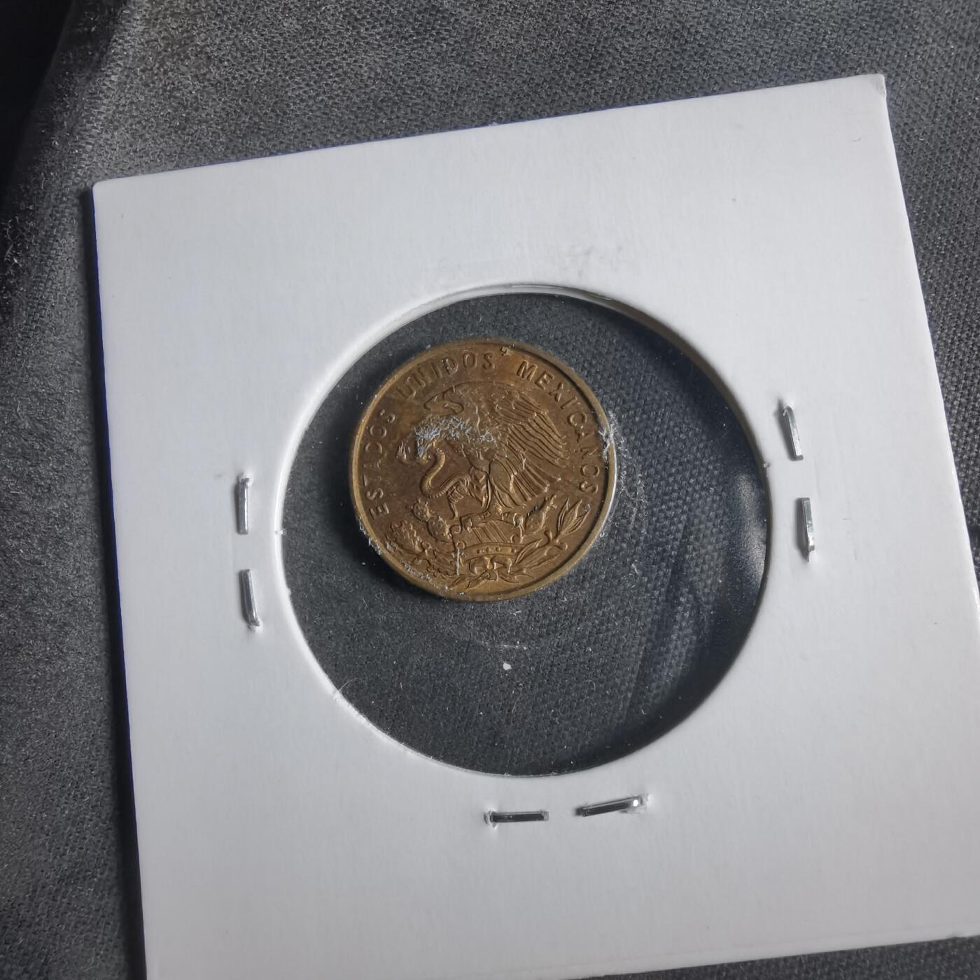 沼泽如烟--第906场