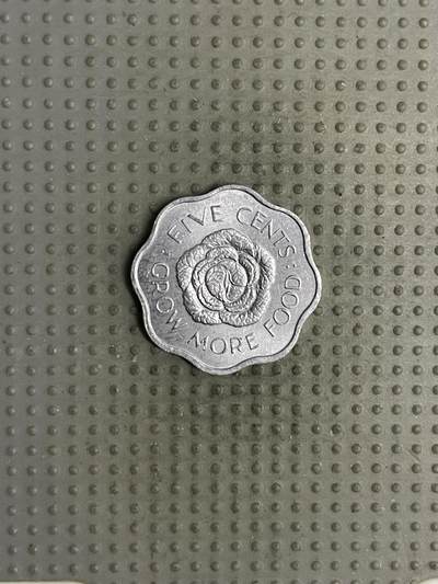 2025年第120场各国散币拍卖（总第120场） - 塞舌尔1973年5分FAO纪念币