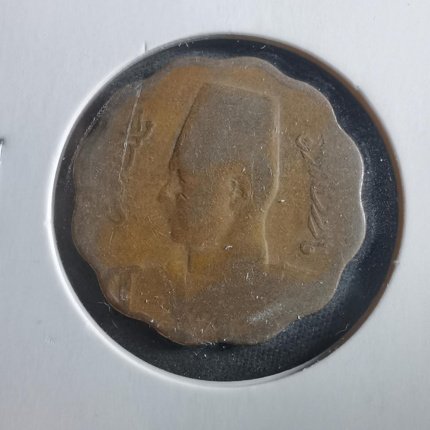 沼泽如烟--第906场 埃及