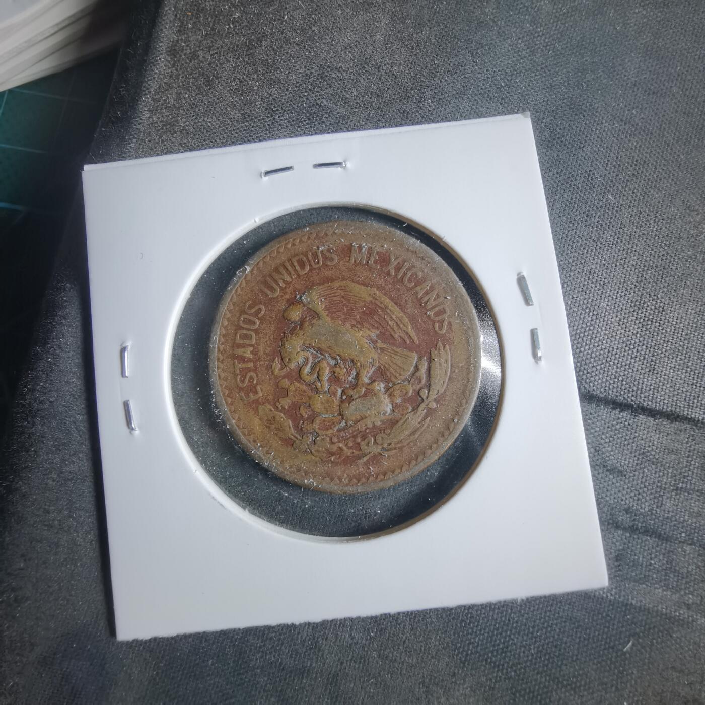 沼泽如烟--第906场