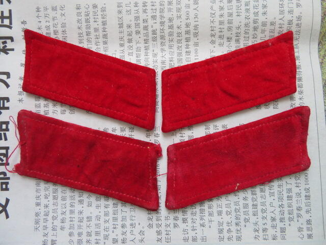 76--使用过的65早期领章两付两个版本