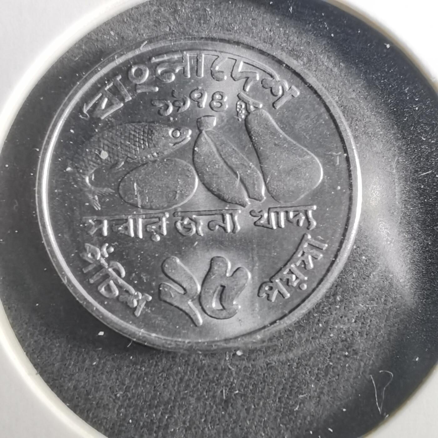 沼泽如烟--第906场 孟加拉