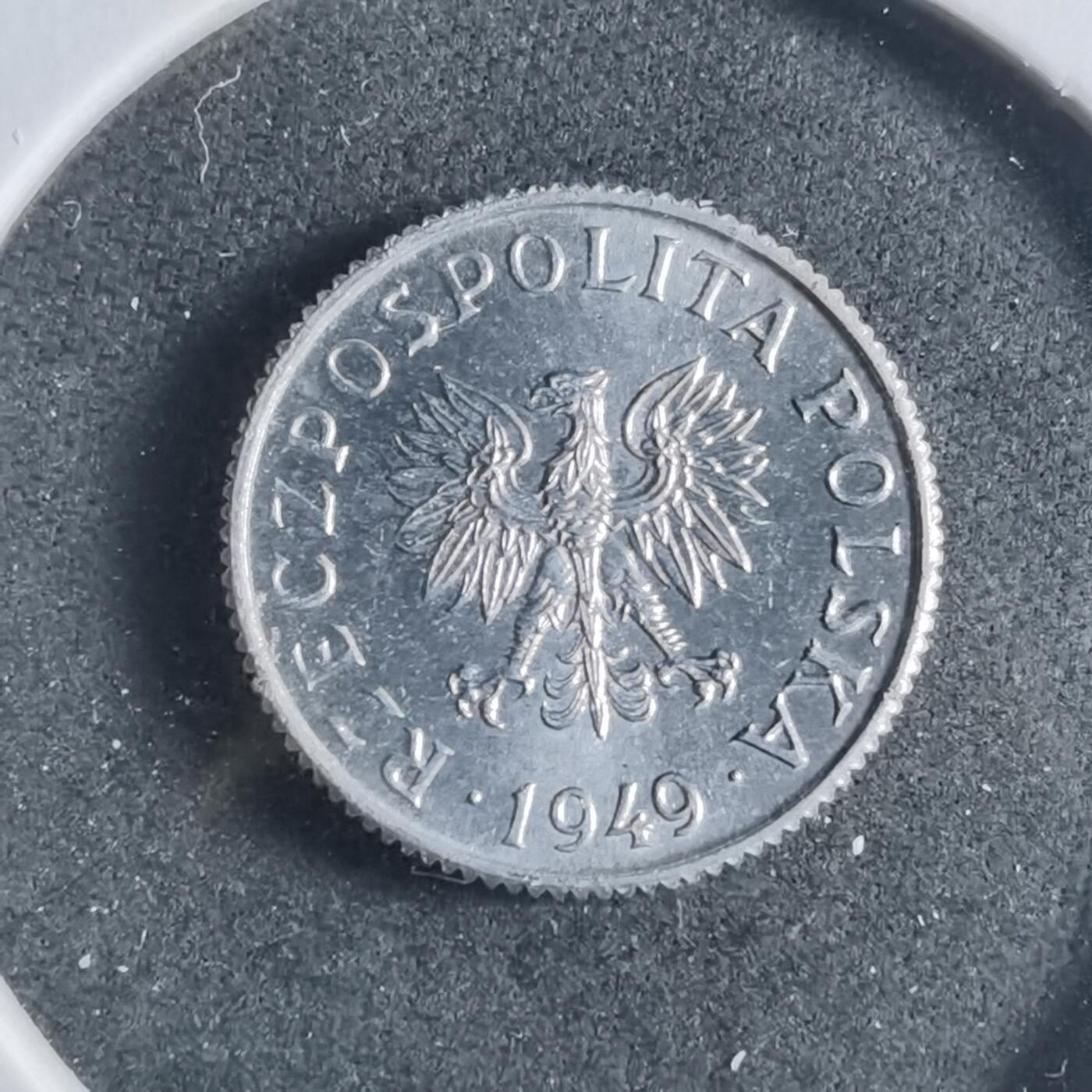 沼泽如烟--第906场 波兰1949年1格罗申