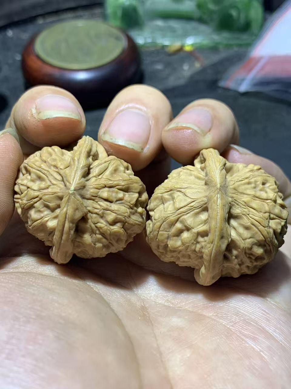 精美小众野生磐石狮子头手捻文玩核桃一对，