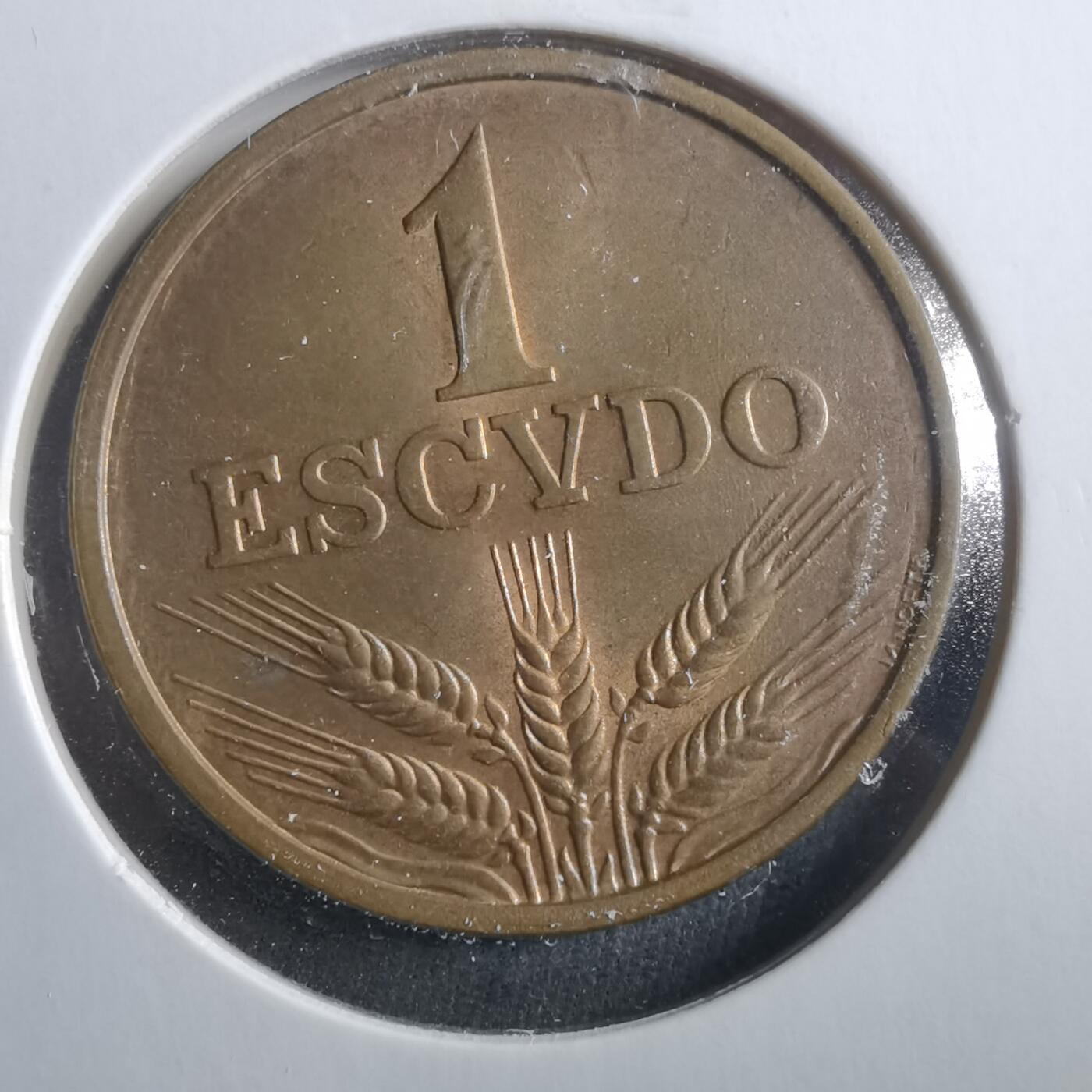 沼泽如烟--第906场