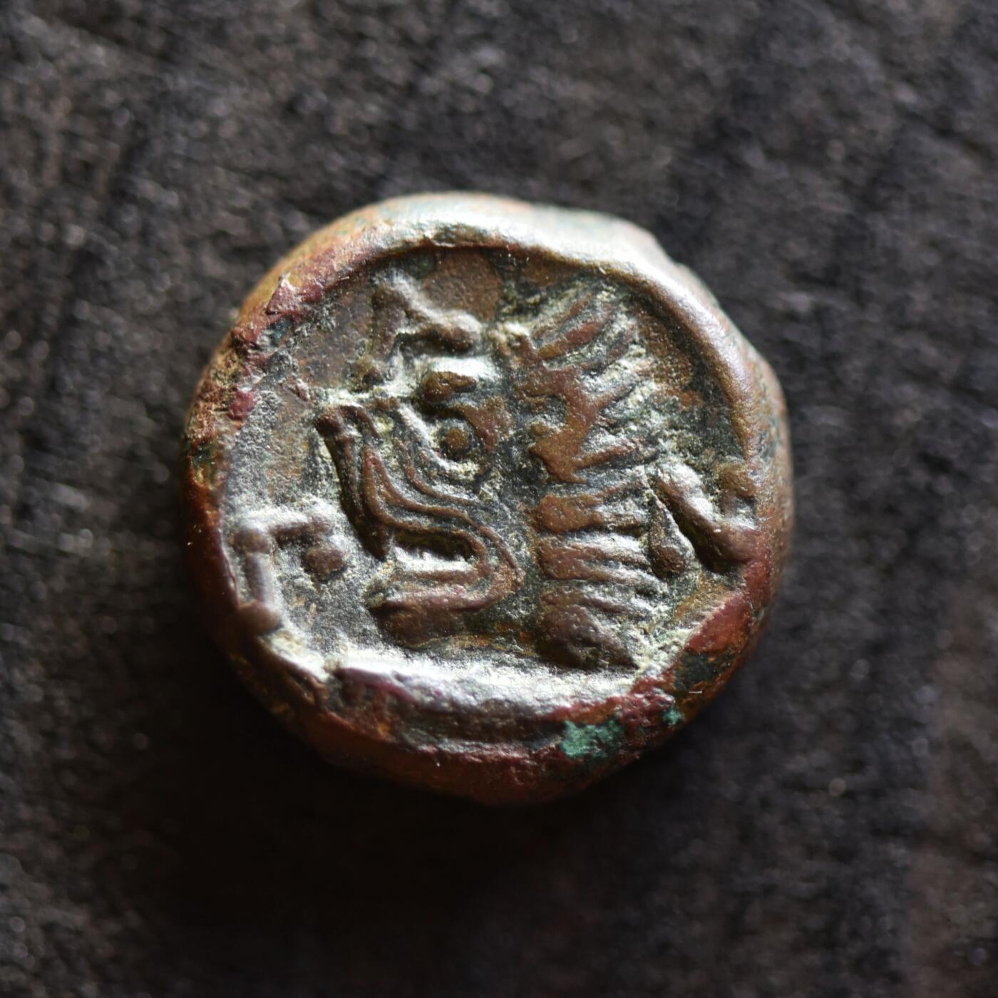 【良泉】第41期【自动场】11月27日晚19.30点开拍！86组，西方古代钱币专场 【藏家出品C】公元前304-289年【古希腊】潘提卡裴姆，潘神/狮子、鲟鱼图案铜币，6.6克