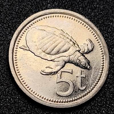 泉币菌-第130场-精品福利场 - 海龟 巴布亚新几内亚1990年5托伊 銅镍动物硬币 19.53mm2.83g