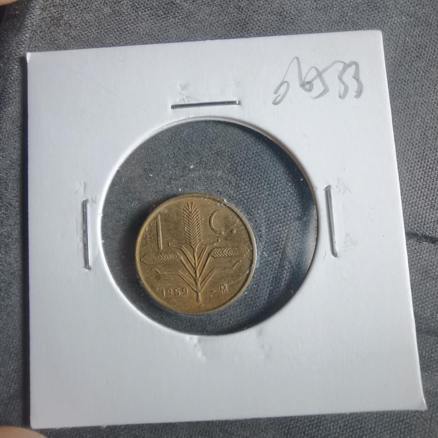 沼泽如烟--第906场