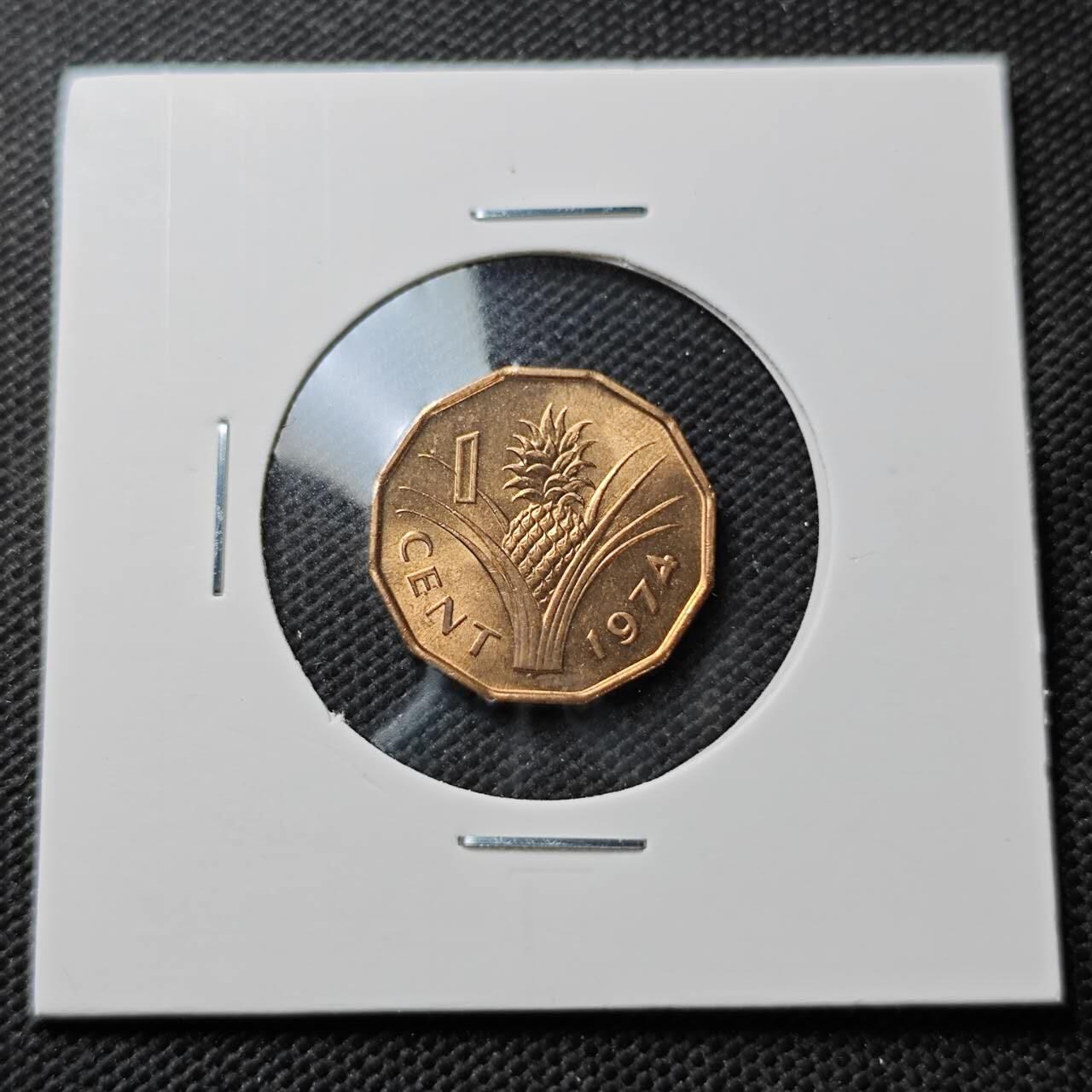 KK钱币收藏小铺  第373场  2月预留时间 周末发货  1974斯威士兰1分铜币 好品