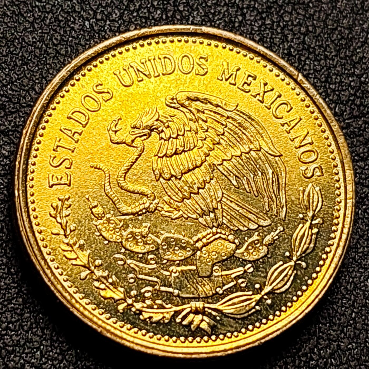 泉币菌-第130场-精品福利场 。