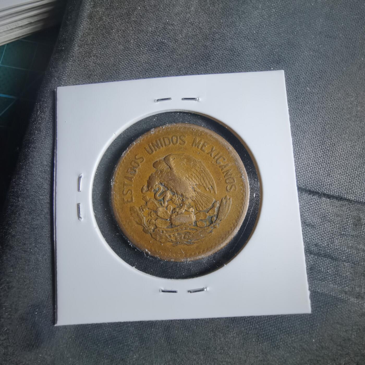 沼泽如烟--第906场