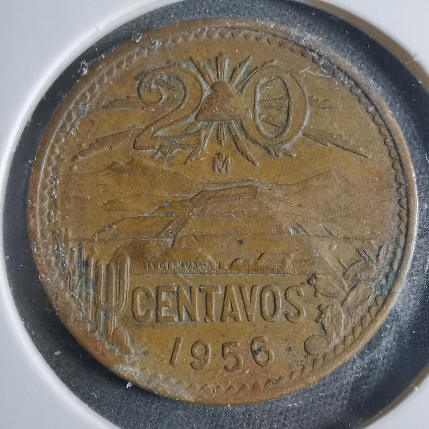 沼泽如烟--第906场