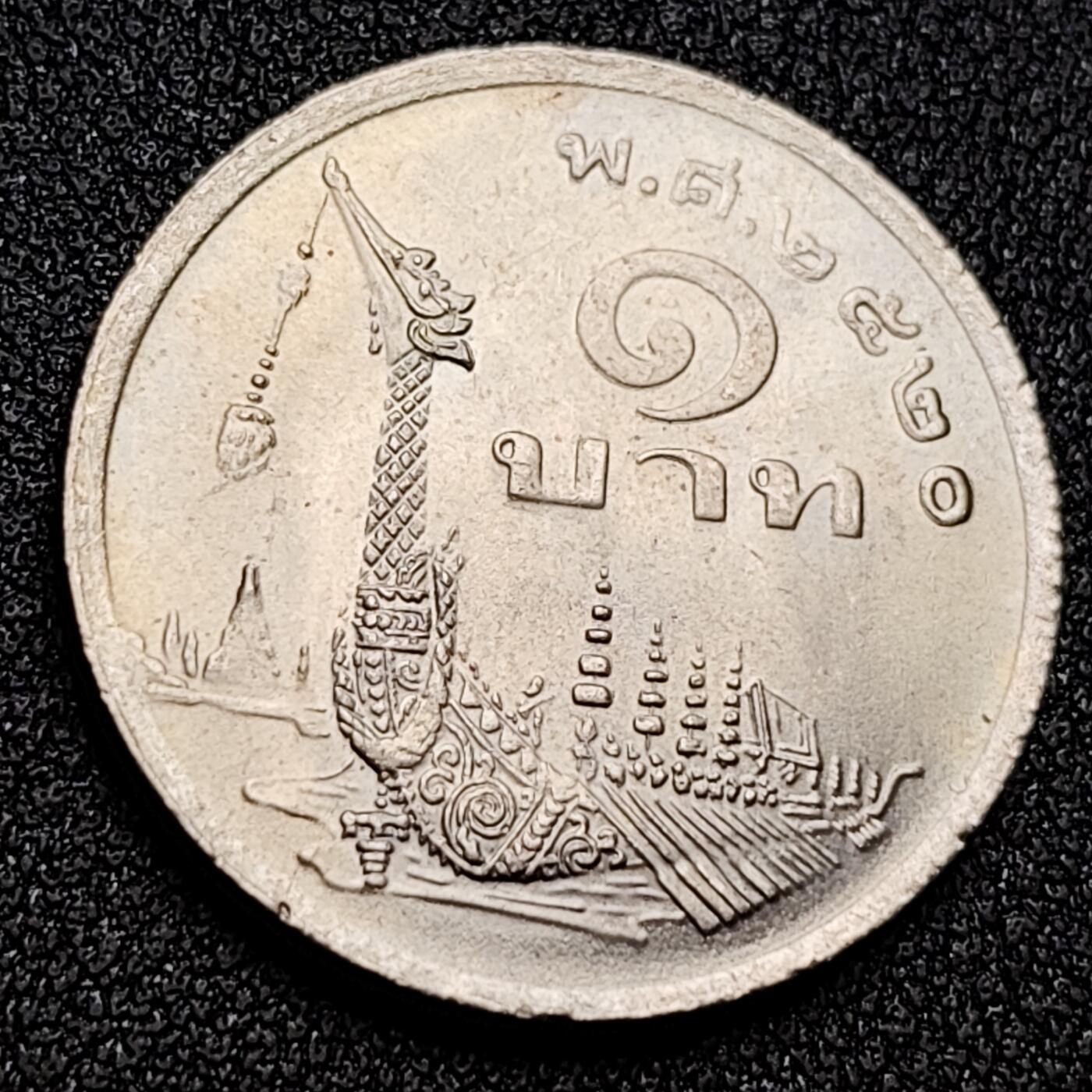 泉币菌-第130场-精品福利场 。