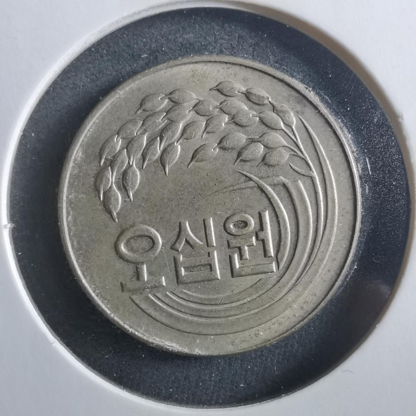 沼泽如烟--第906场