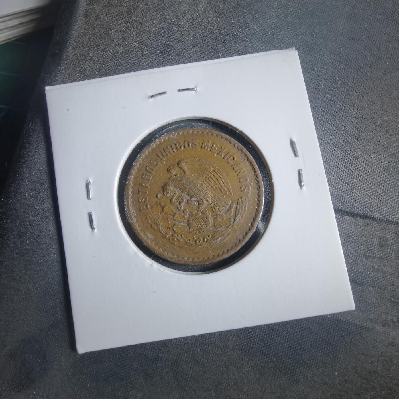 沼泽如烟--第906场