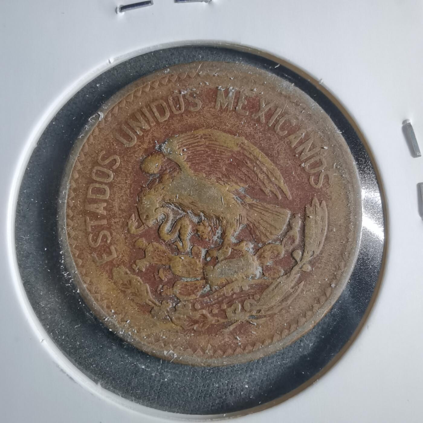 沼泽如烟--第906场