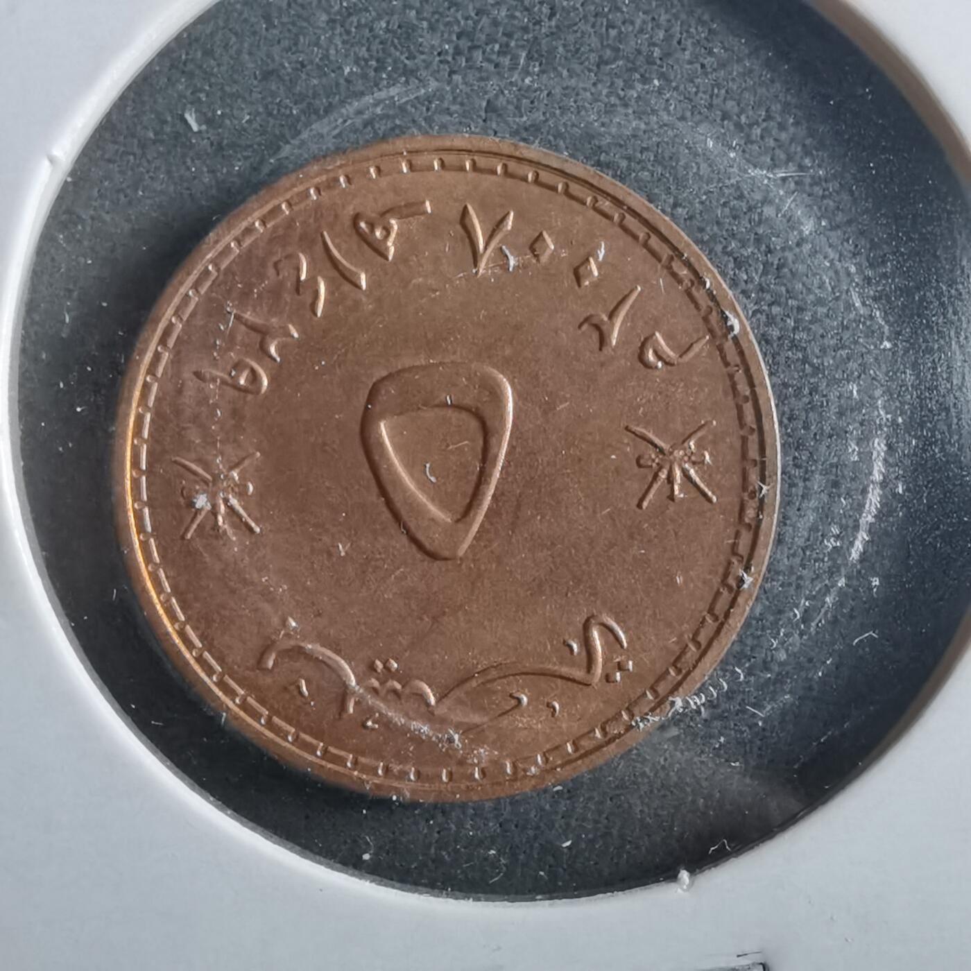 沼泽如烟--第906场