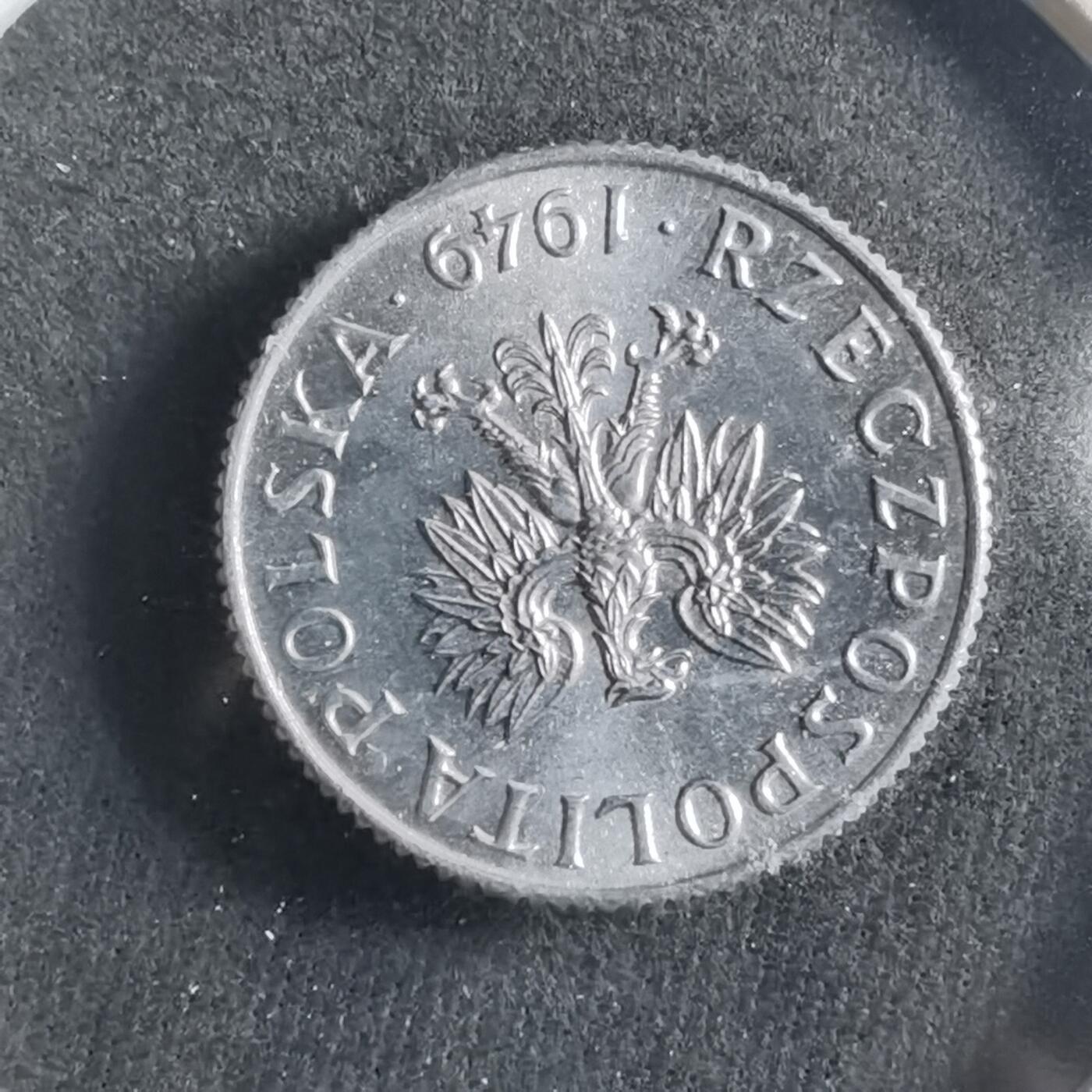 沼泽如烟--第906场 波兰1949年1格罗申