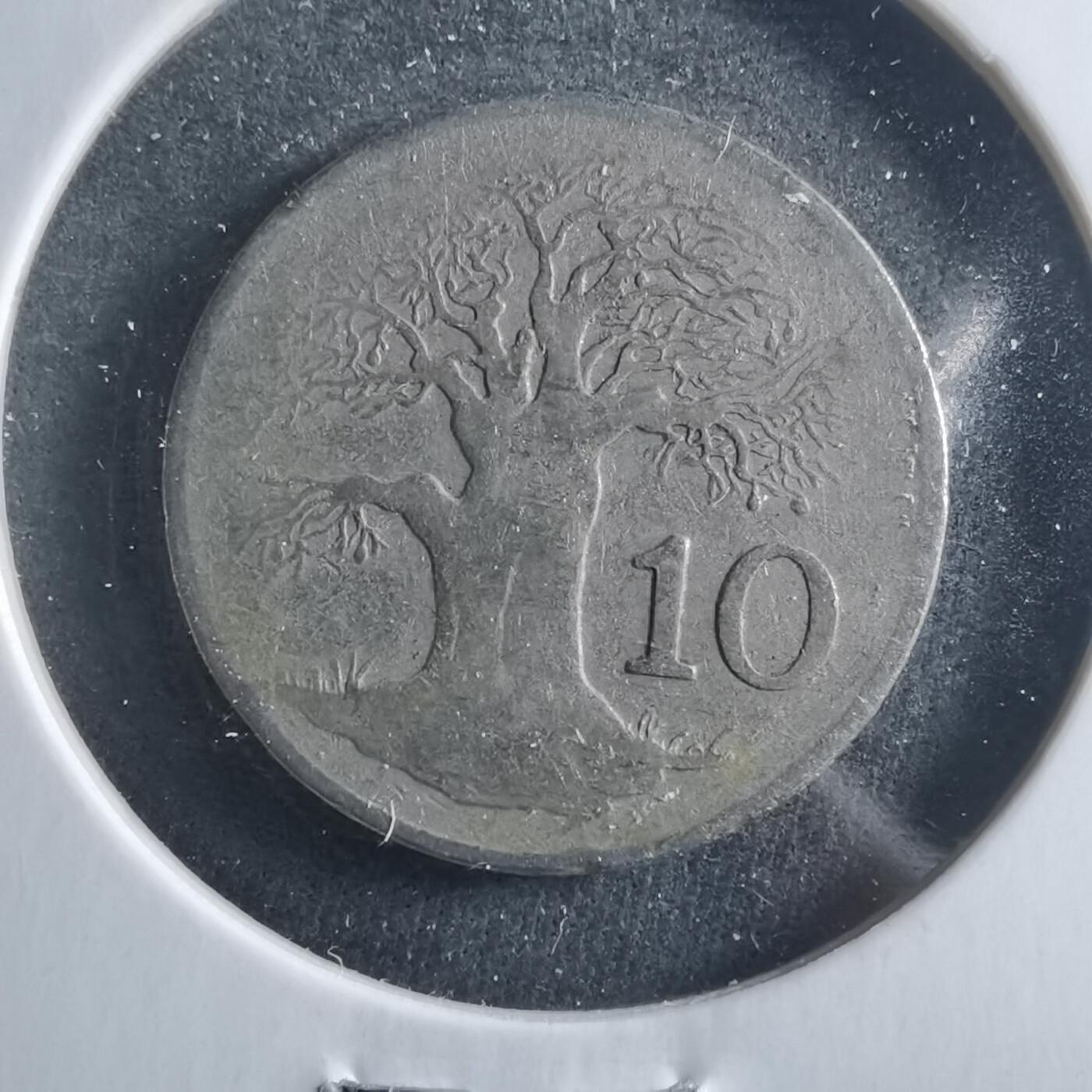 沼泽如烟--第906场