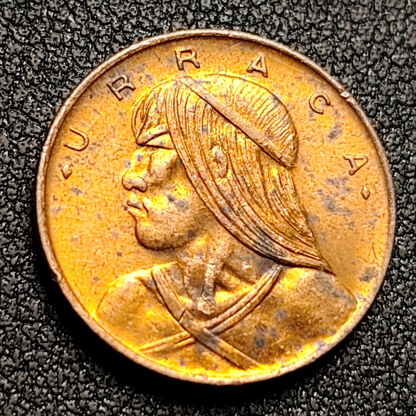 泉币菌-第130场-精品福利场 。