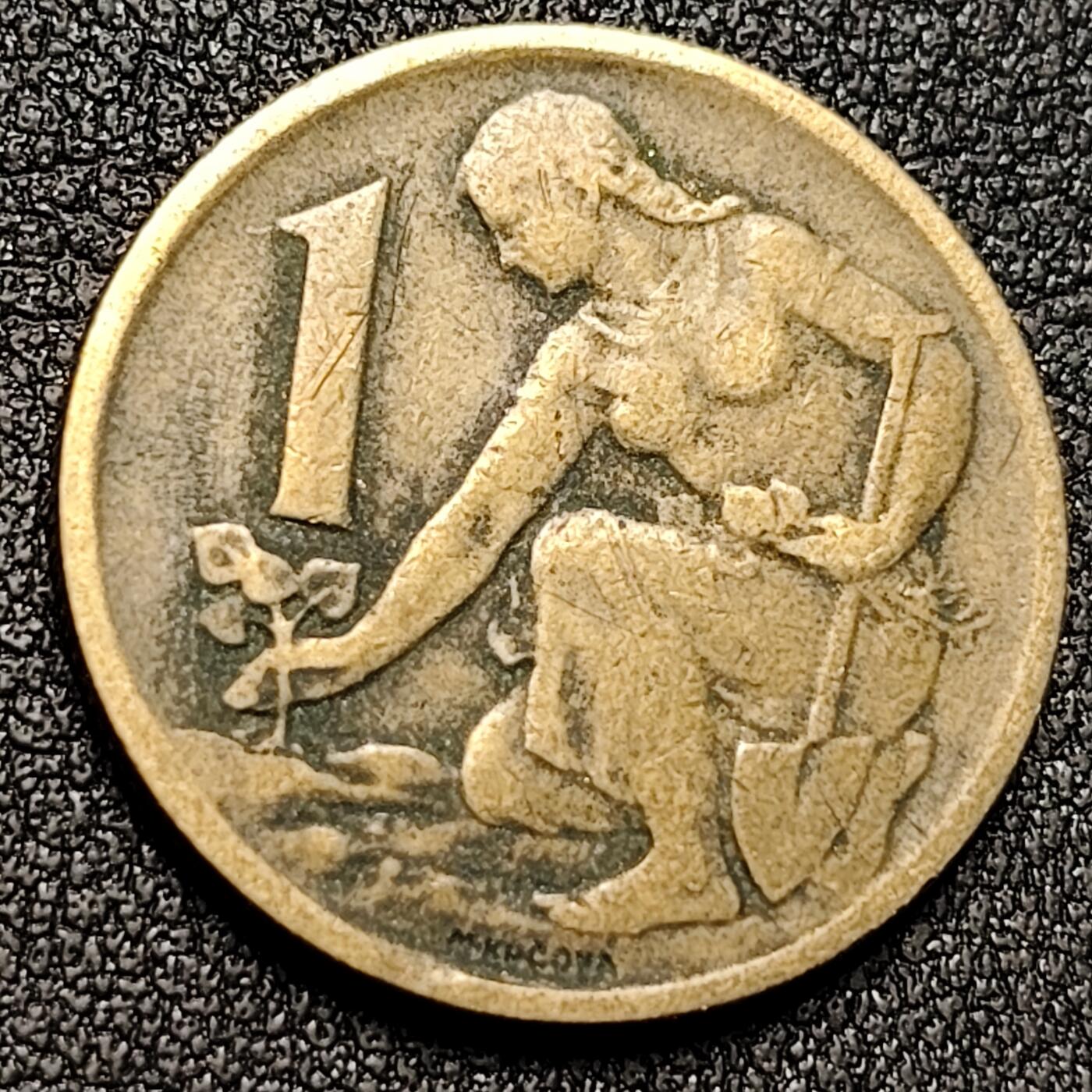 泉币菌-第130场-精品福利场 。