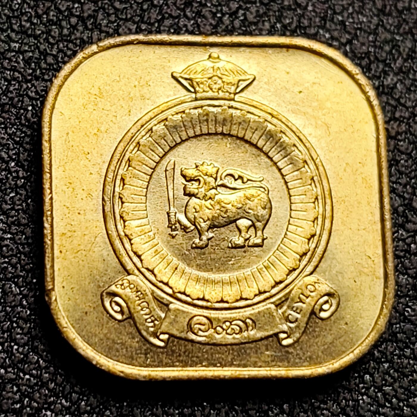 泉币菌-第130场-精品福利场 。