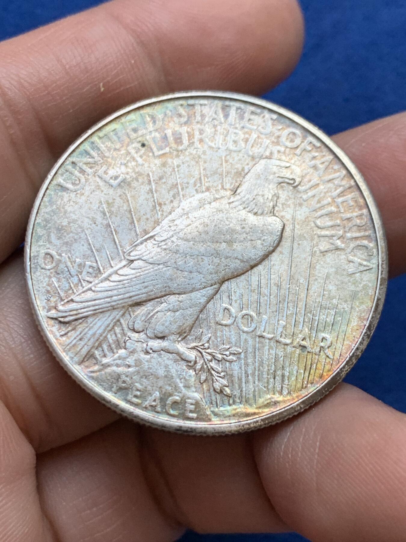 《竞宝斋》第439场 周日，周一，周二 3场连拍 （全场包邮） 美国1922年和平1美元银币