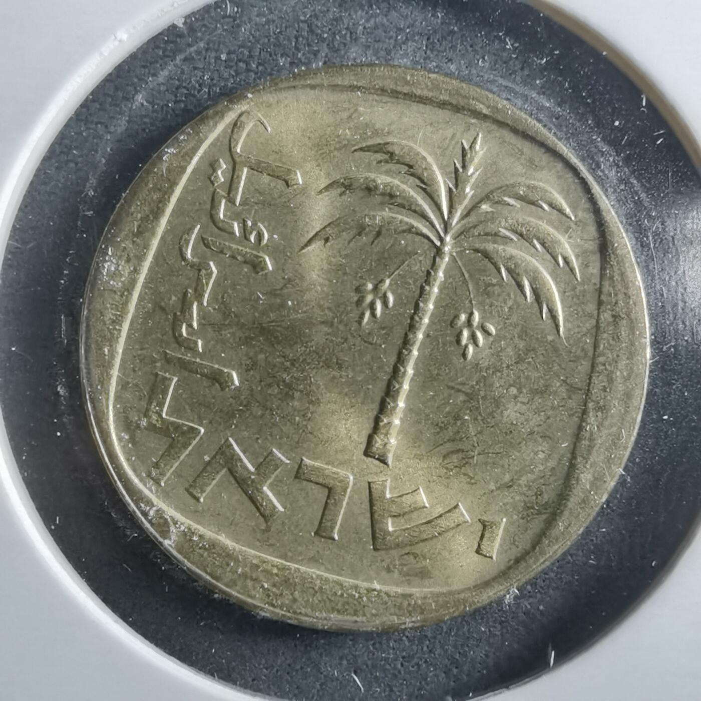 沼泽如烟--第906场 以色列