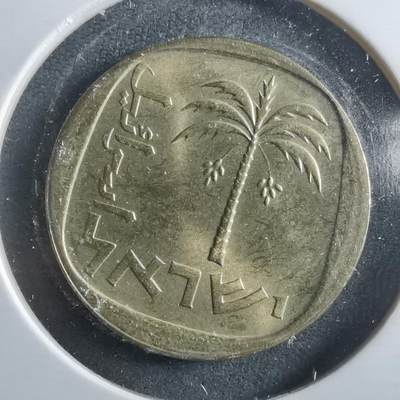 沼泽如烟--第906场 - 以色列