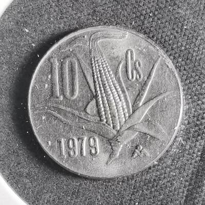 沼泽如烟--第906场 - 墨西哥1979年十分