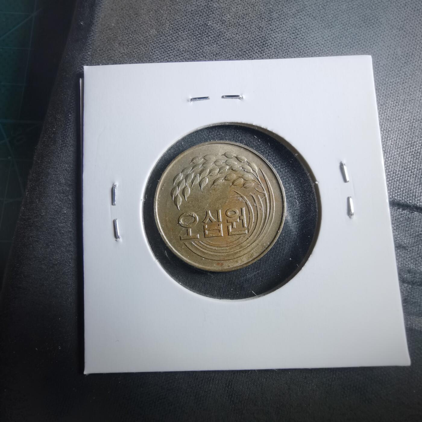 沼泽如烟--第906场