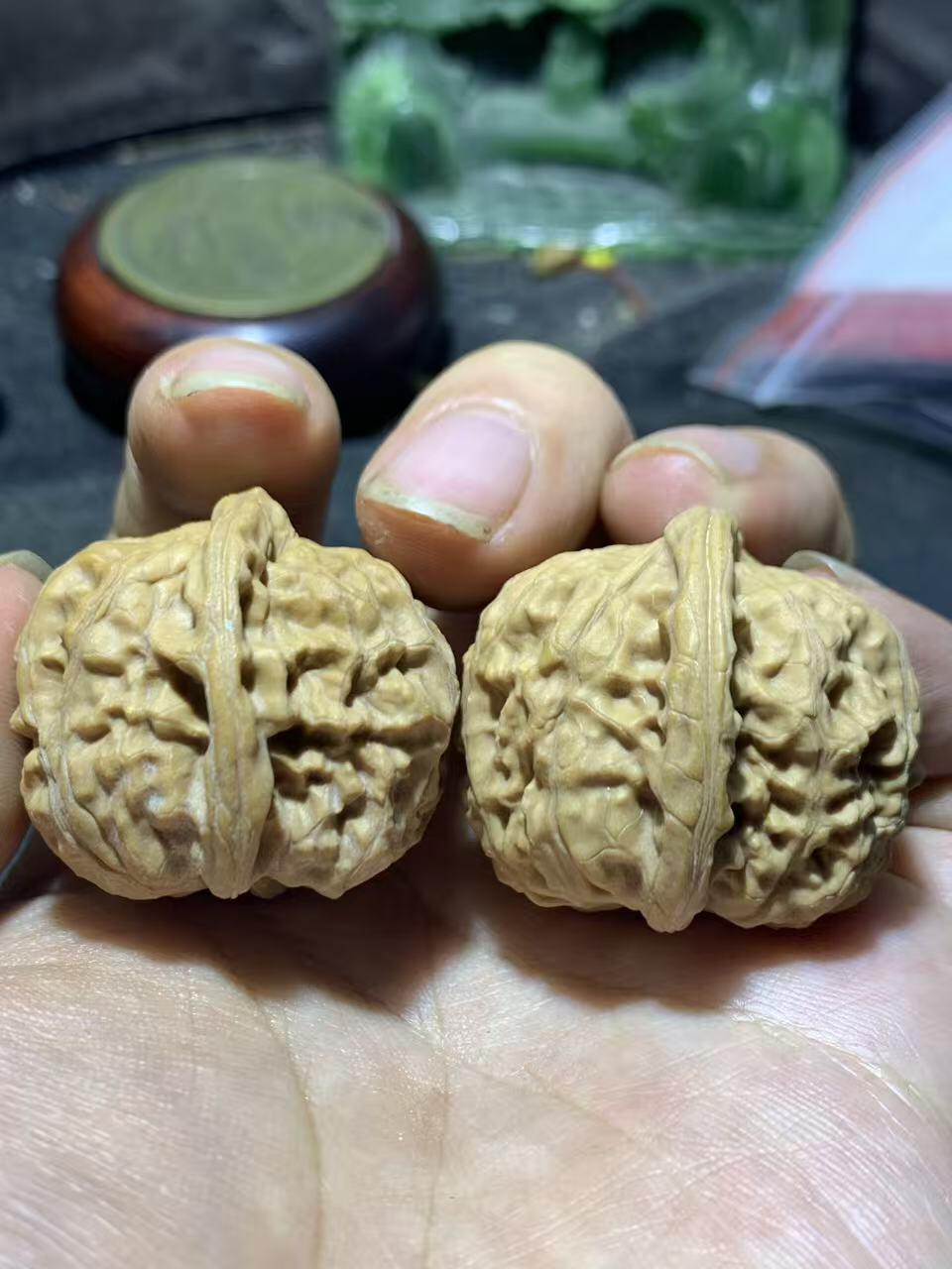 精美小众野生磐石狮子头手捻文玩核桃一对，