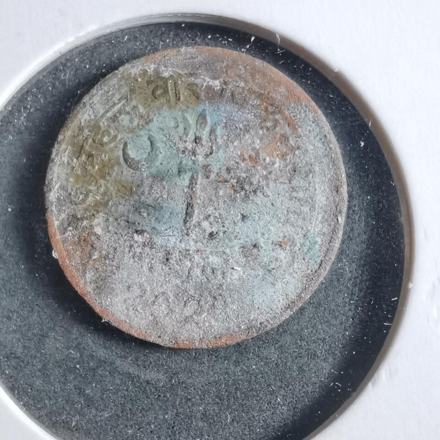 沼泽如烟--第906场