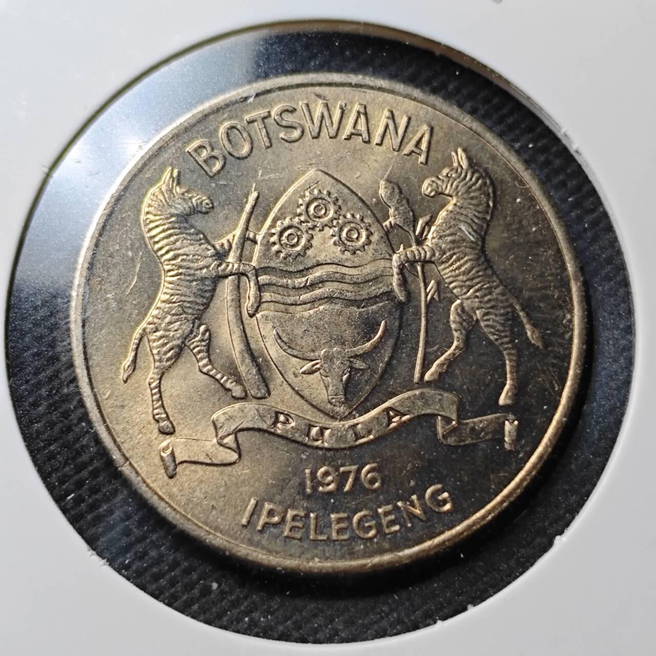 KK钱币收藏小铺  第372场  2月预留时间 周末发货