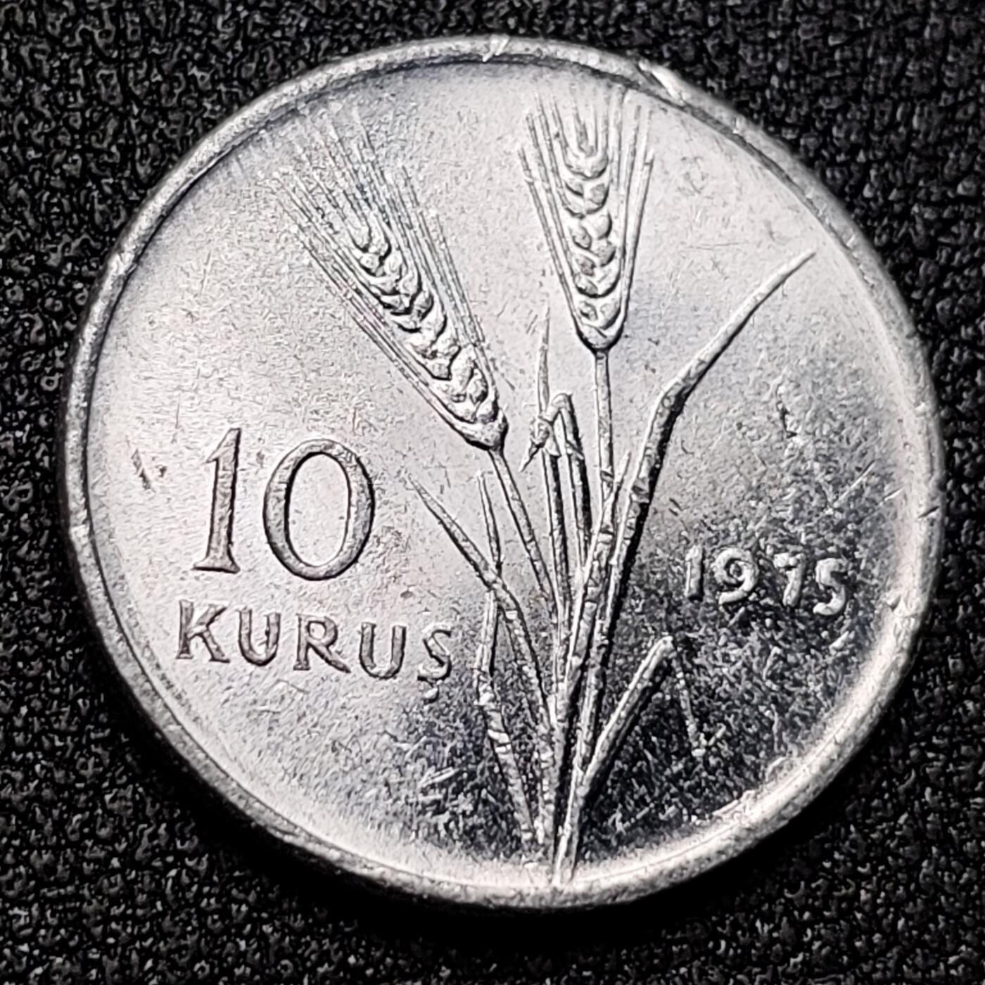 泉币菌-第130场-精品福利场 。