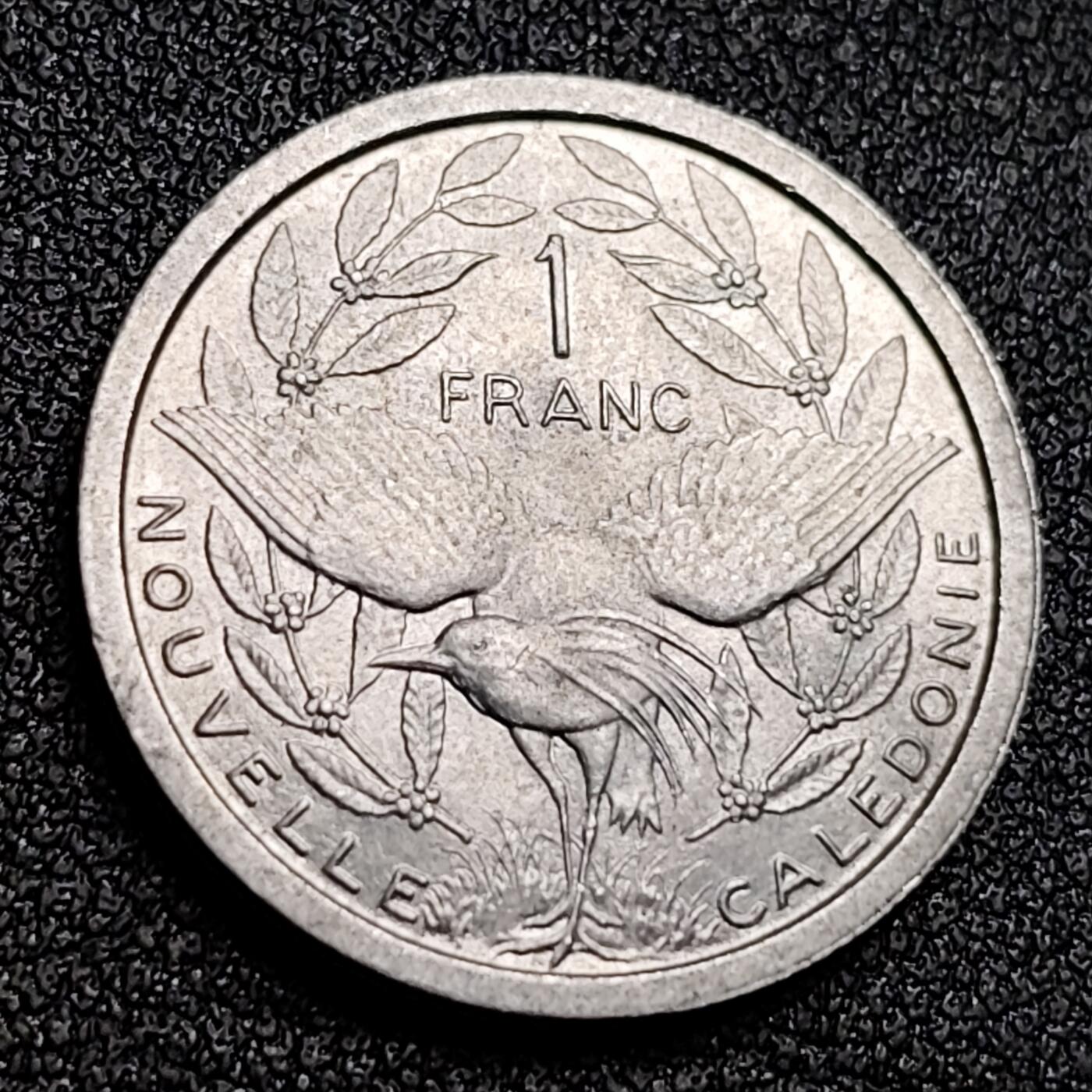 泉币菌-第130场-精品福利场 。