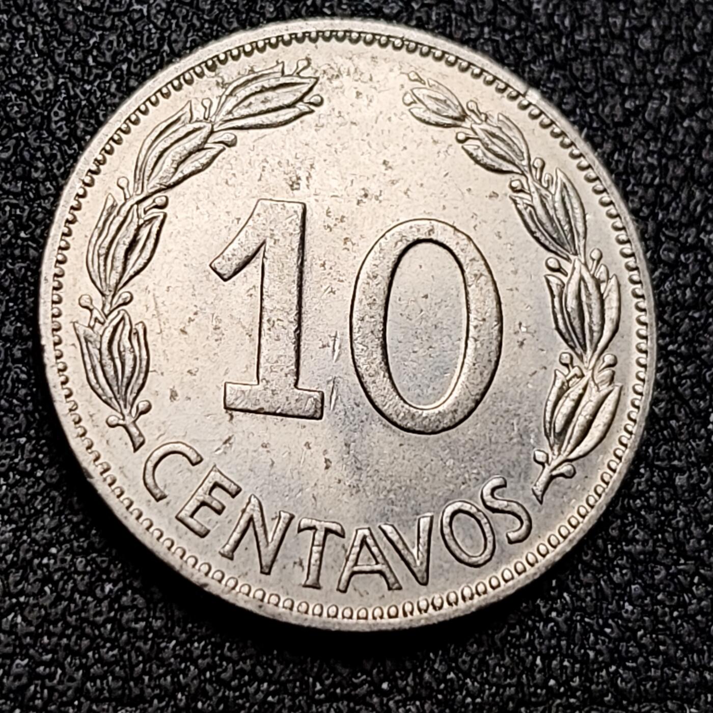 泉币菌-第130场-精品福利场 。